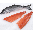 Salmon Filete  Cong. 0.8/1 10Kg